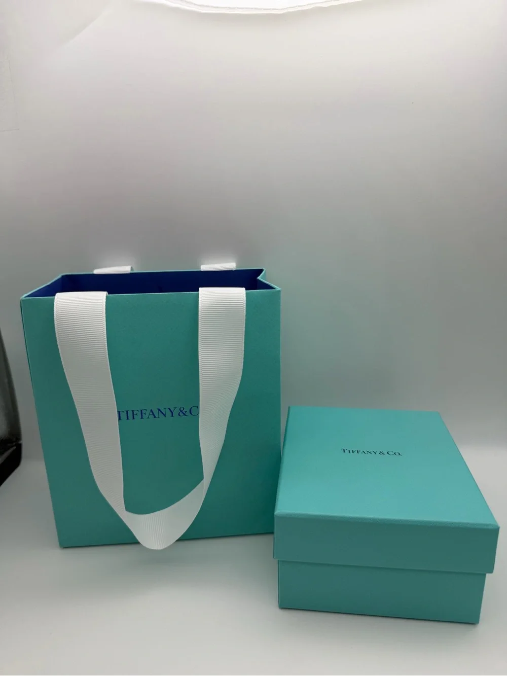 Tiffany & Co New Earring Display Box + Shopping Bag